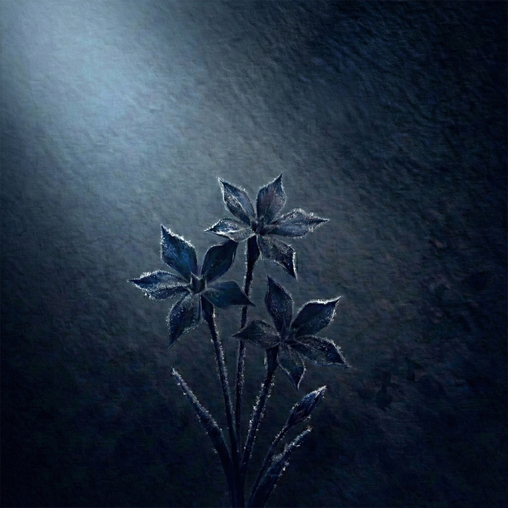 푸른설화 (雪花)