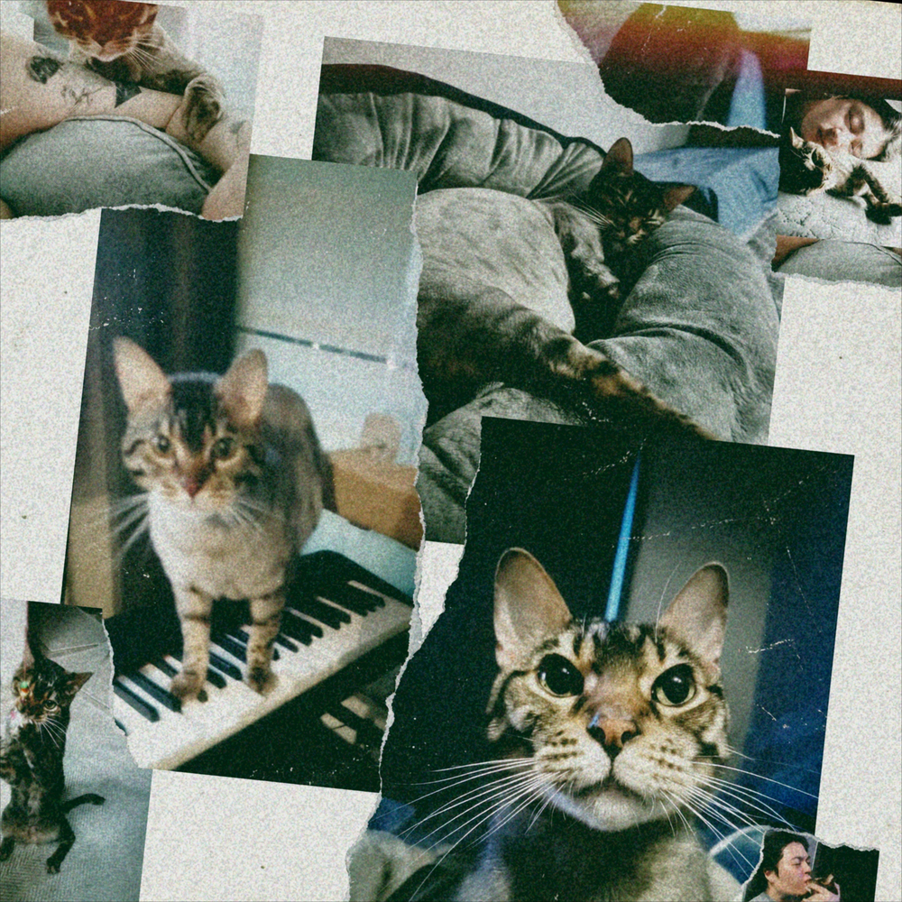 별이 된 너에게