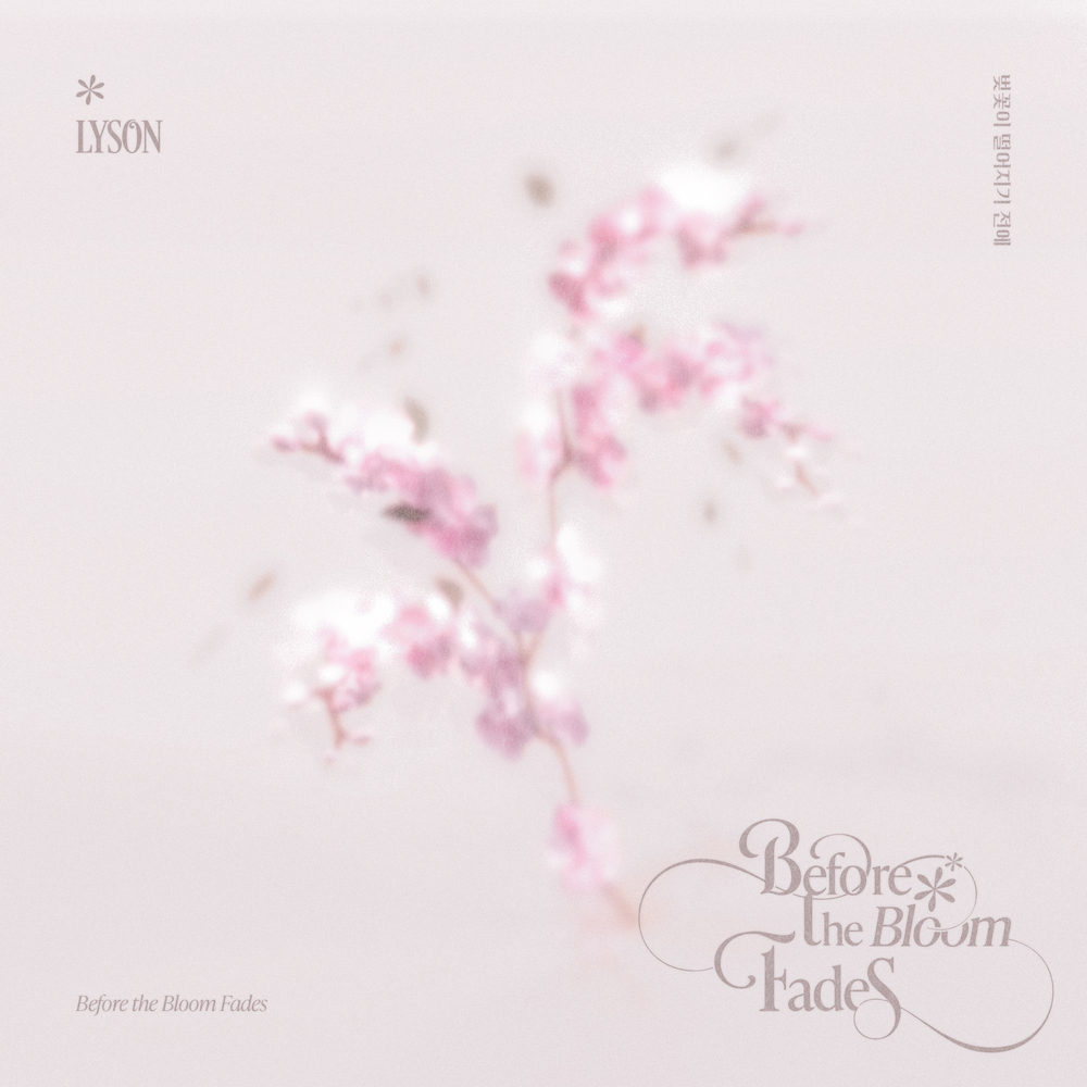 벚꽃이 떨어지기 전에