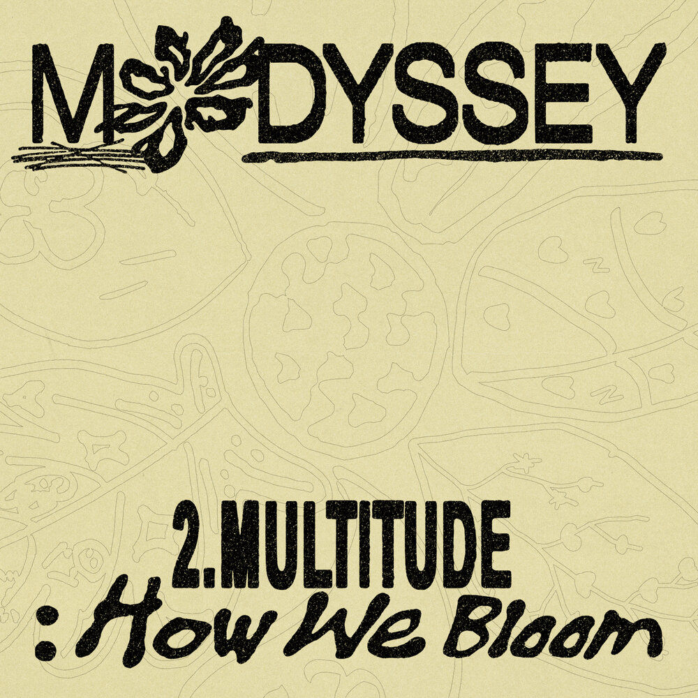 2.Multitude: How We Bloom